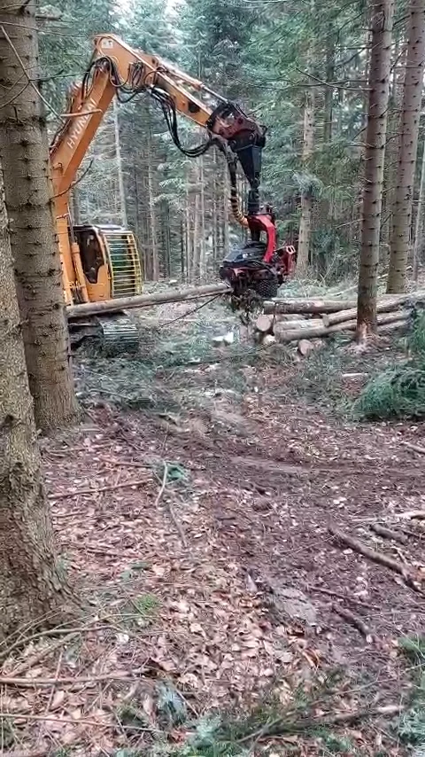 Koparka z głowicą harwesterową podczas pracy w lesie